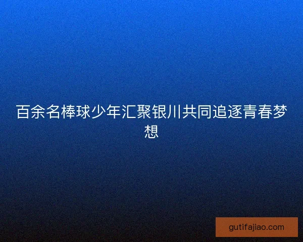 百余名棒球少年汇聚银川共同追逐青春梦想
