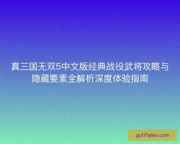 真三国无双5中文版经典战役武将攻略与隐藏要素全解析深度体验指南
